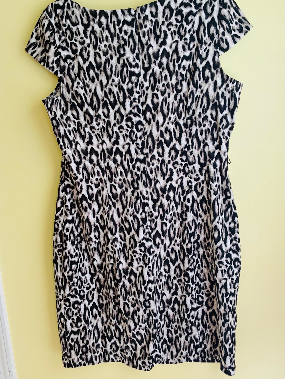 Dress Subcategory Identification